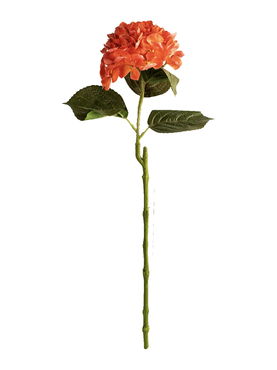 Hydrangea (Coral Bloom) — artificial flowers in coral by VYNE