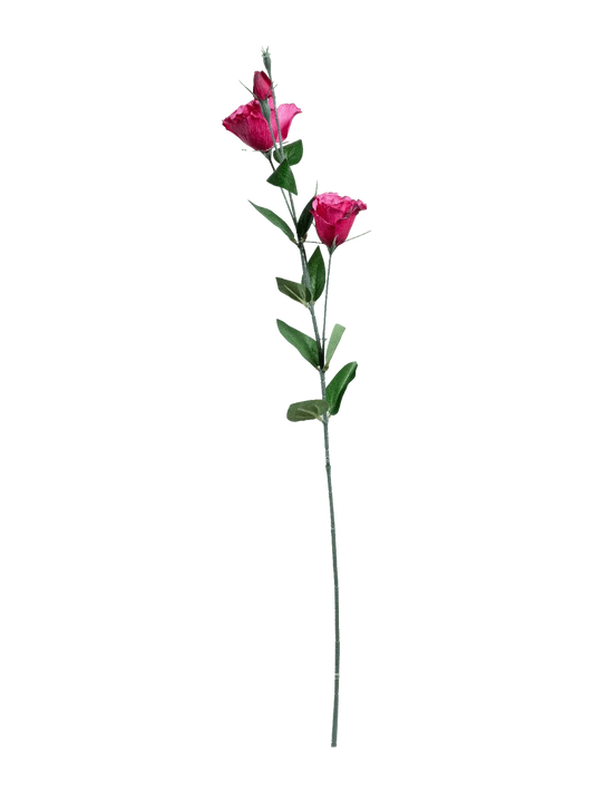 Eustoma (Fuchsia Bloom) — artificial flowers in pink by VYNE