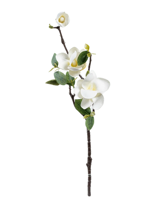 Magnolia (Ivory Blossom) — artificial flowers in white by VYNE