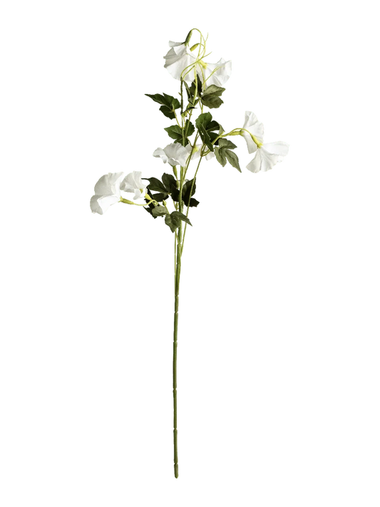 Morning Glory (Pure White) — artificial flowers in white by VYNE