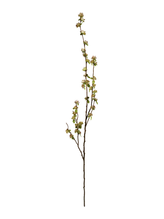 Sedum Bud Branch (Autumn Ember) — artificial foliage in orange by VYNE