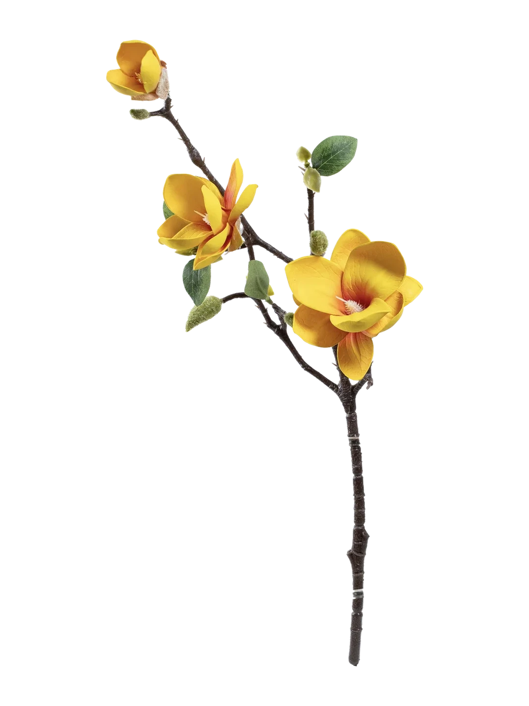 Magnolia (Golden Bloom) — artificial flowers in yellow by VYNE