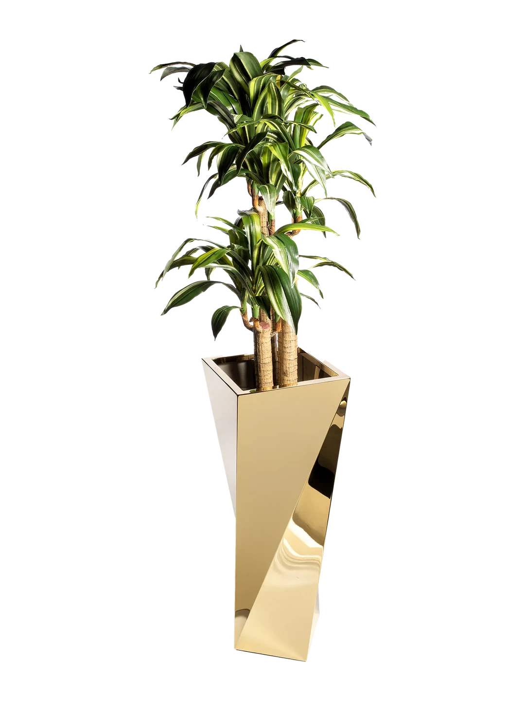 Grand Twist Taper Planter (Mirror Gold) — decorative vessel by VYNE