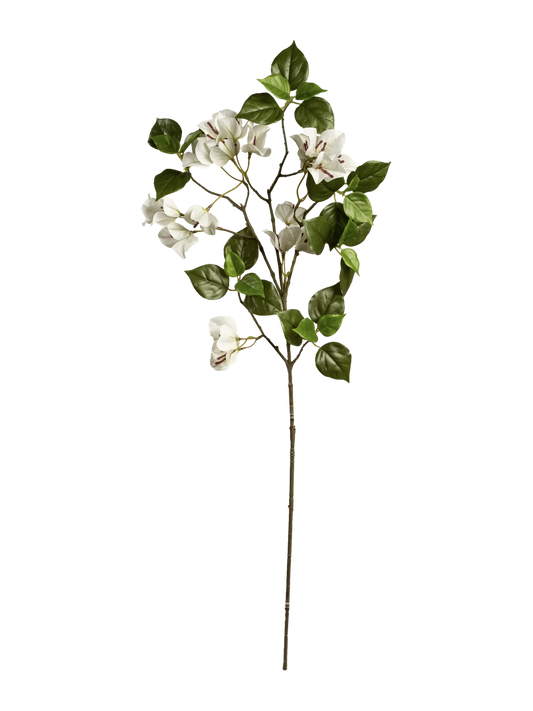 Bougainvillea (Pure Ivory) — artificial flowers in white by VYNE
