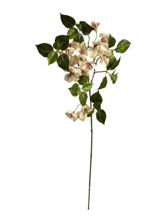Bougainvillea (Buttercream Veil) — artificial flowers in cream by VYNE