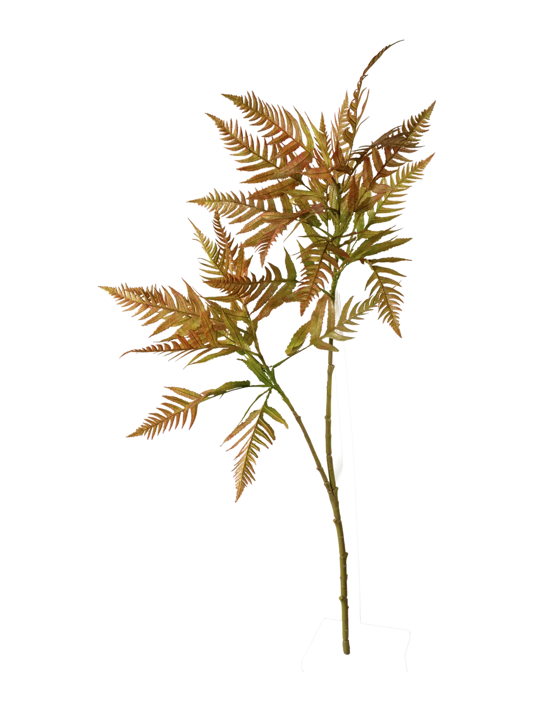 Mimosa Fern (Olive Moss Green) — artificial foliage in green by VYNE