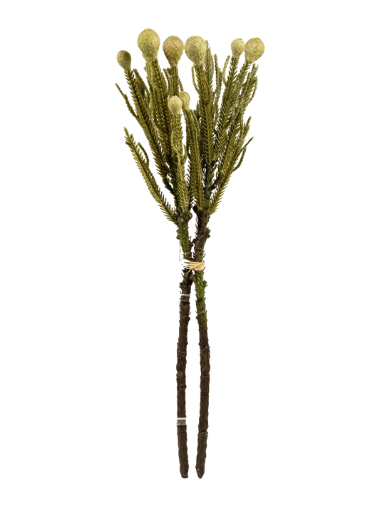 Banksia Spray (Sage Meadow) — artificial foliage in green by VYNE