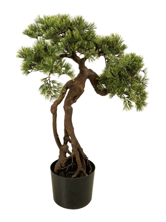 Pine Bonsai (95cm) — artificial plant in green by VYNE