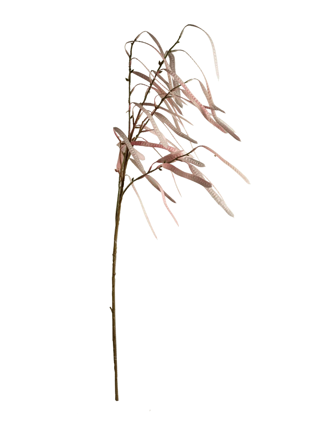 Bean Pod Spray (Blush Petal) — artificial foliage in pink by VYNE