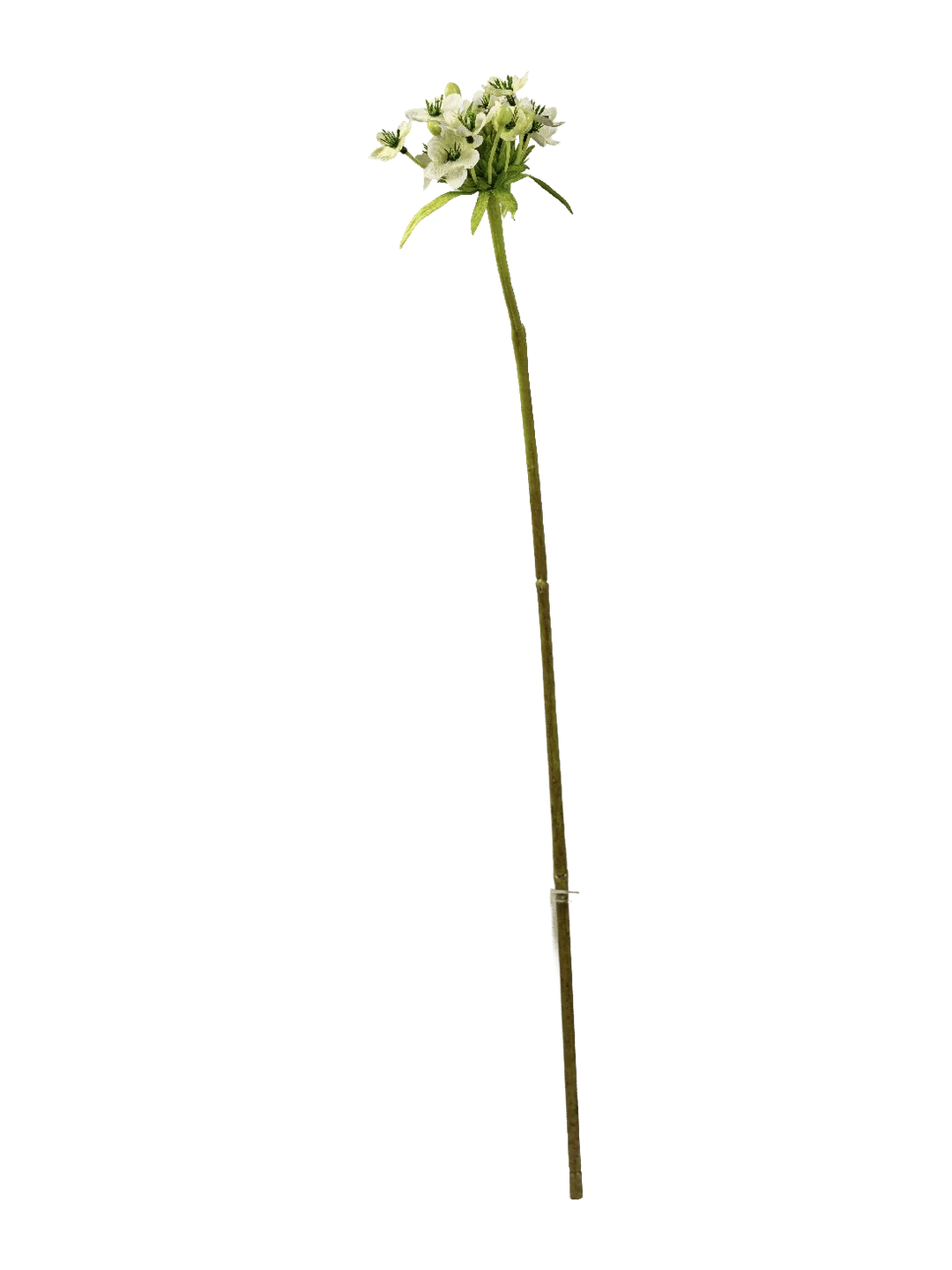 Star of Bethlehem (Snow White) — artificial flowers in white by VYNE