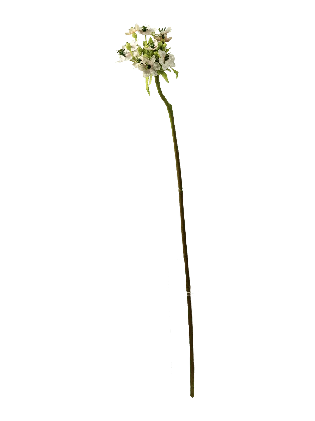 Star of Bethlehem (Pearl White) — artificial flowers in white by VYNE