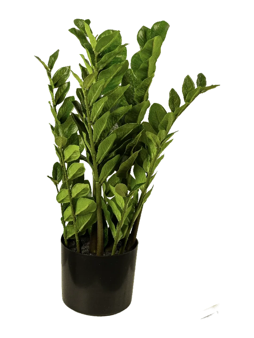 Zamioculcas Zamiifolia (ZZ Plant) 60cm — artificial plant in green by VYNE