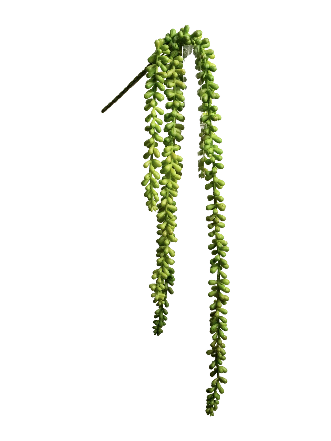 Succulent Sedum Spray (Vivid Moss Green) — artificial flowers in green by VYNE