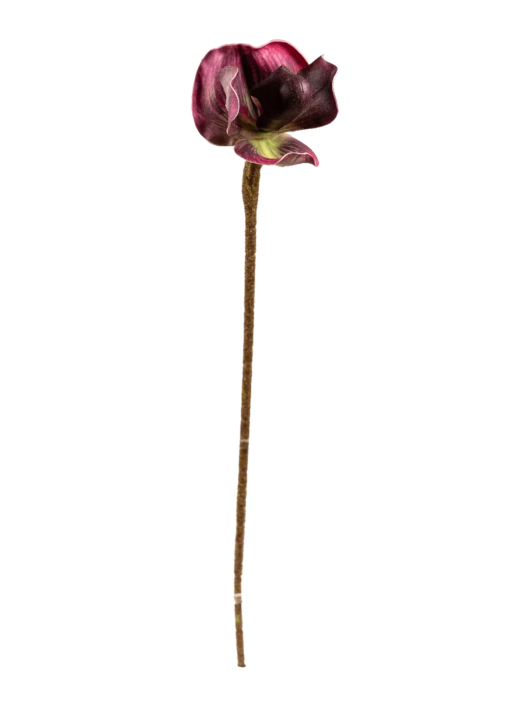 Venus Slipper Orchid (Velvet Plum) — artificial flowers in purple by VYNE