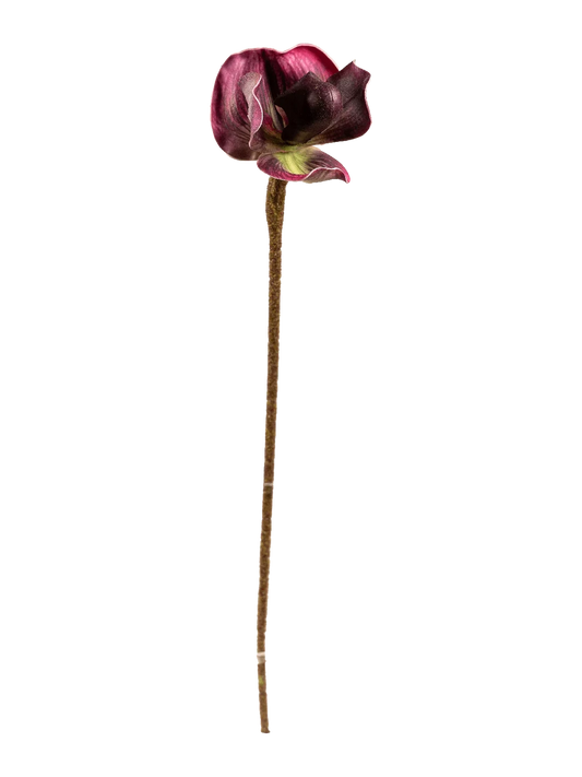 Venus Slipper Orchid (Velvet Plum) — artificial flowers in purple by VYNE