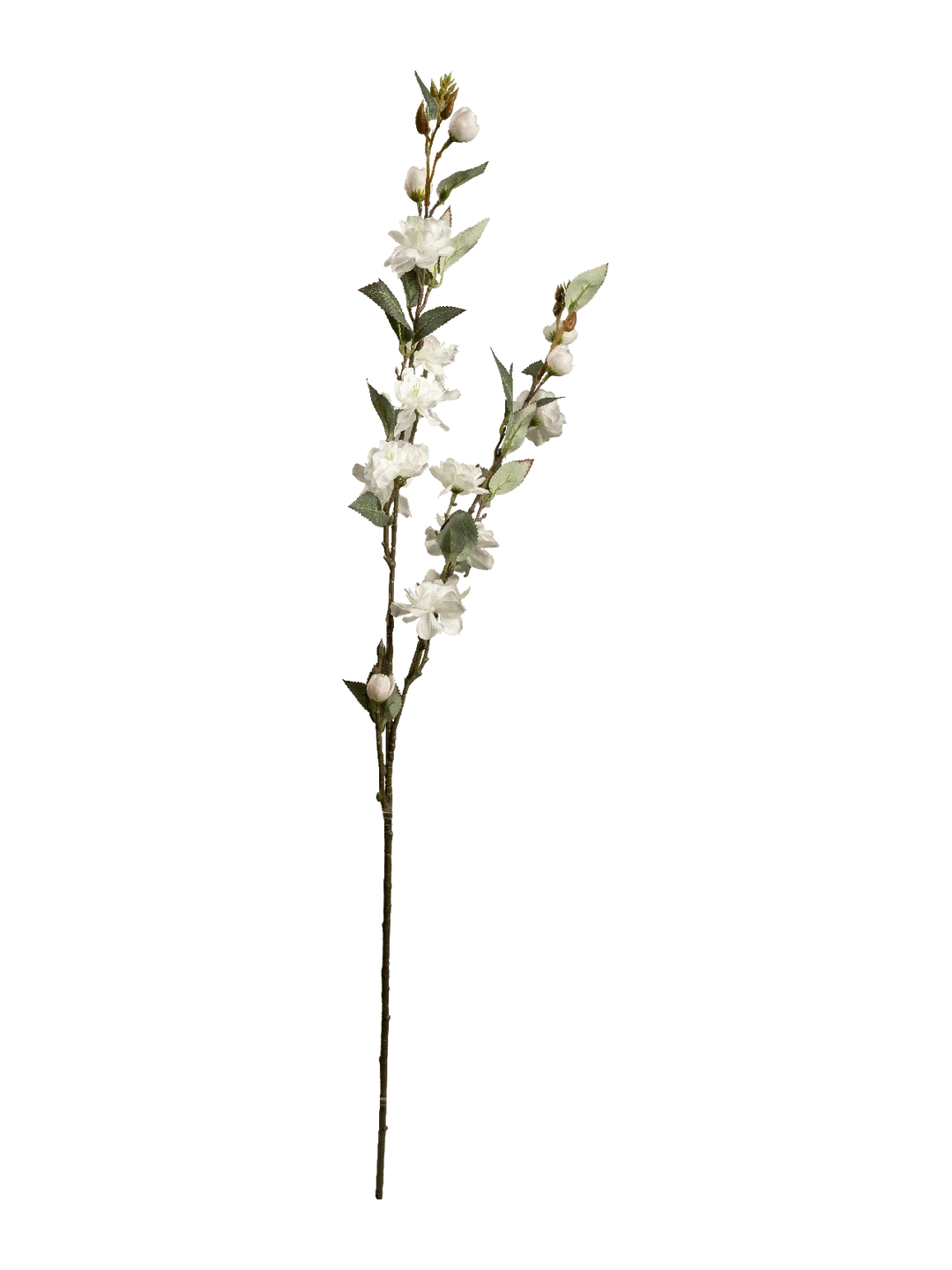 Camellia (Ivory Silk) — artificial flowers in cream by VYNE