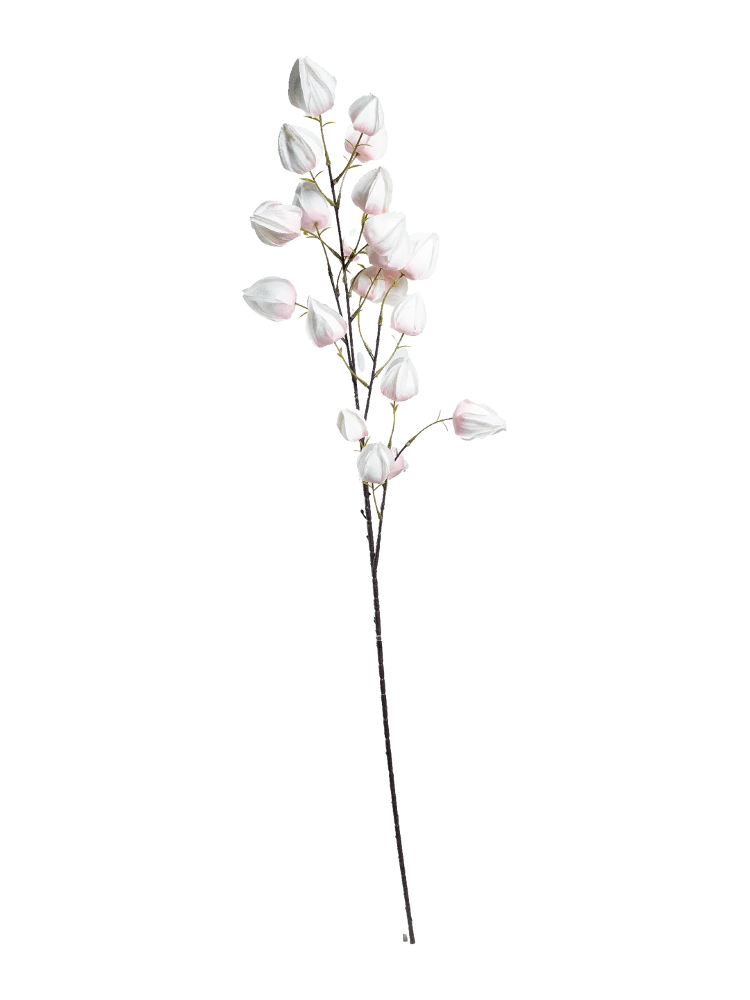 Chinese Lantern (Blush Veil) — artificial flowers in pink by VYNE