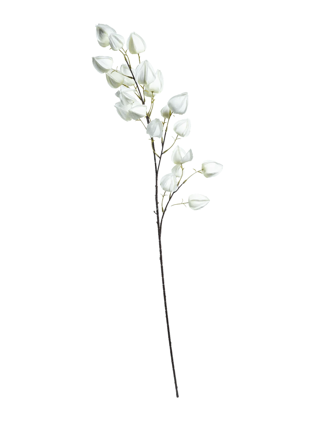 Chinese Lantern (Soft Ivory) — artificial flowers in cream by VYNE