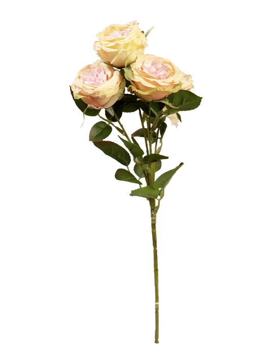 Garden Rose (Creamy Blush) — artificial flowers in cream by VYNE