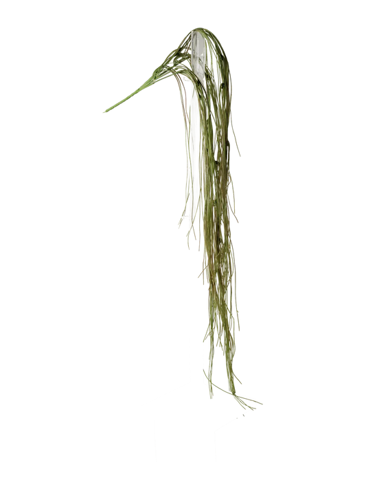 Bear Grass (Weathered Olive) — artificial foliage in green by VYNE