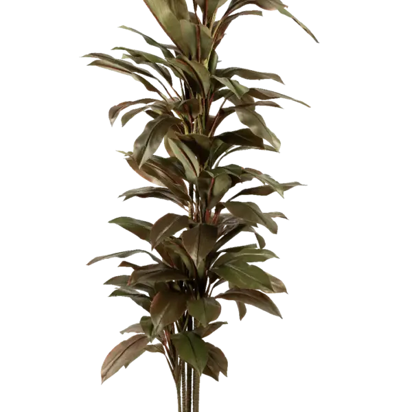 Artificial Bird of Paradise Plant — Eucalyptus Noir 195cm | Vyne