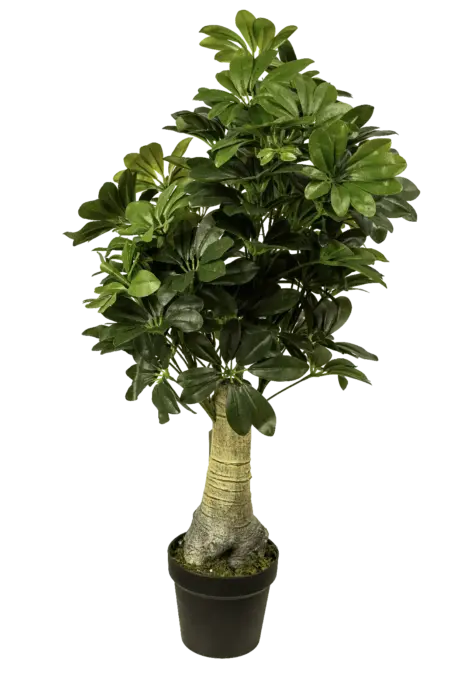 Artificial Ginseng Ficus — Ficus Microcarpa | Vyne Boutique