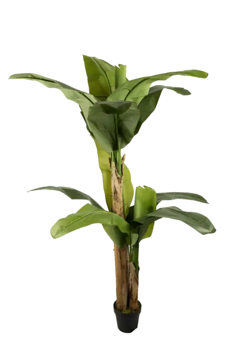 Artificial Banana Tree — 190cm | Vyne Boutique