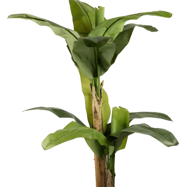 Artificial Banana Tree — 190cm | Vyne Boutique