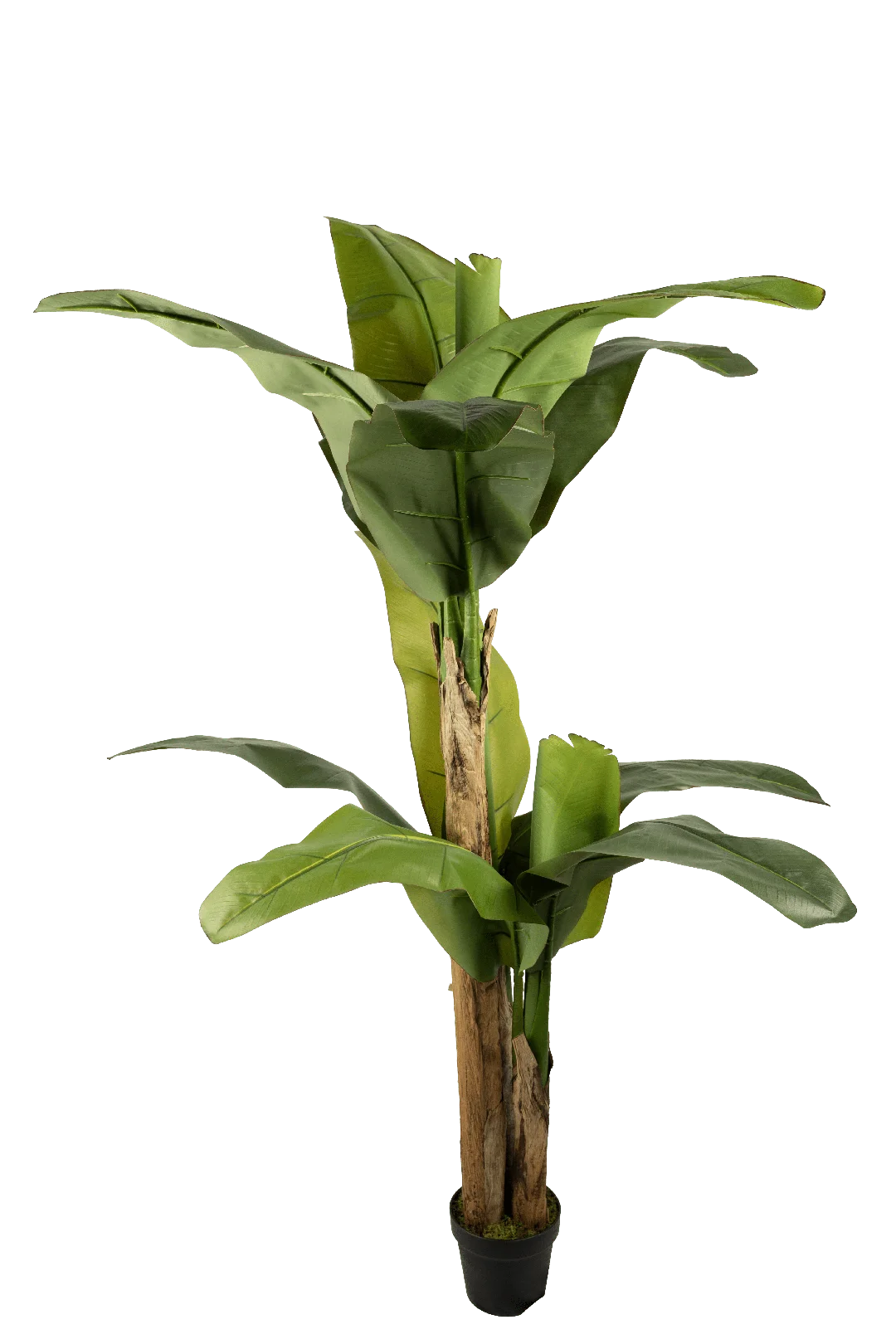Banana Tree (190cm) | Vyne Artificial Banana Tree — 190cm | Vyne Boutique