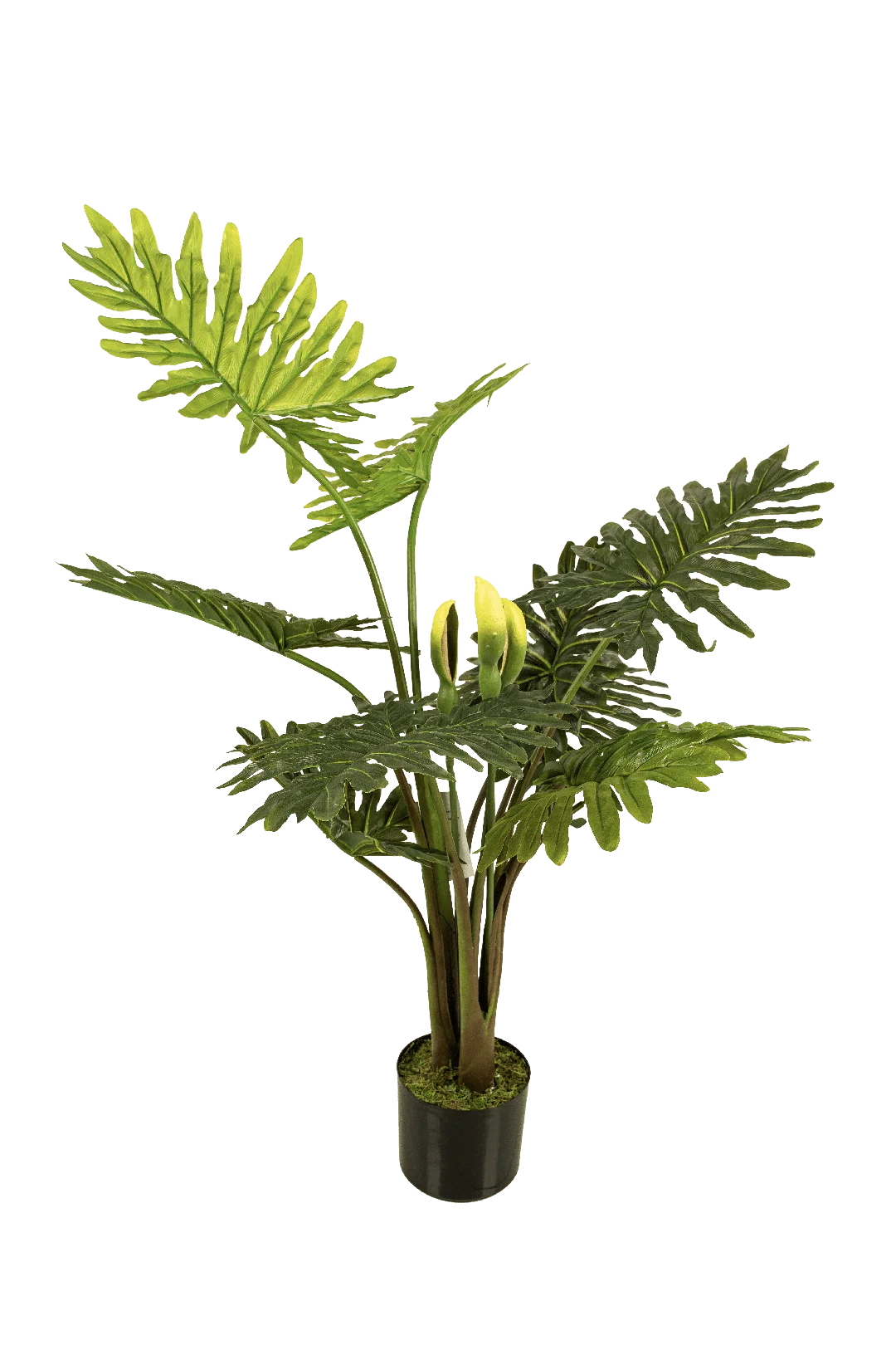 Philodendron Selloum | Vyne Artificial Philodendron Selloum Plant | Vyne Boutique