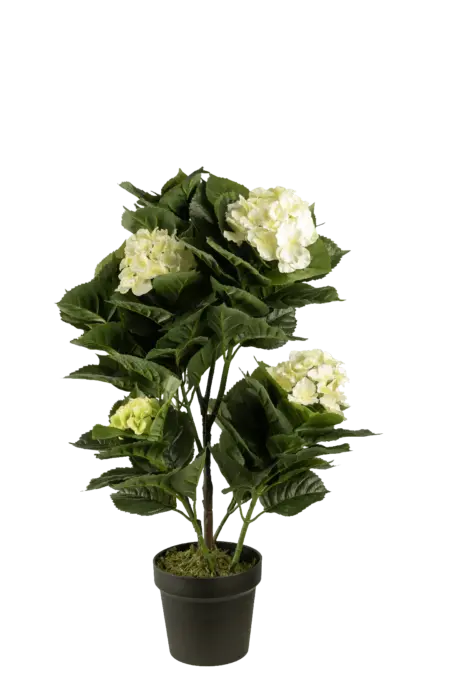 Artificial Hydrangea Plant — Ivory Cream | Vyne Boutique