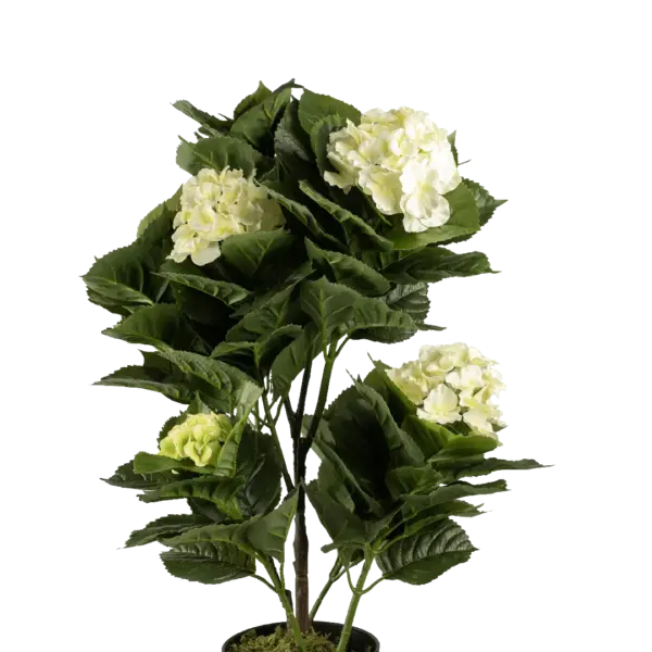 Artificial Hydrangea Plant — Ivory Cream | Vyne Boutique