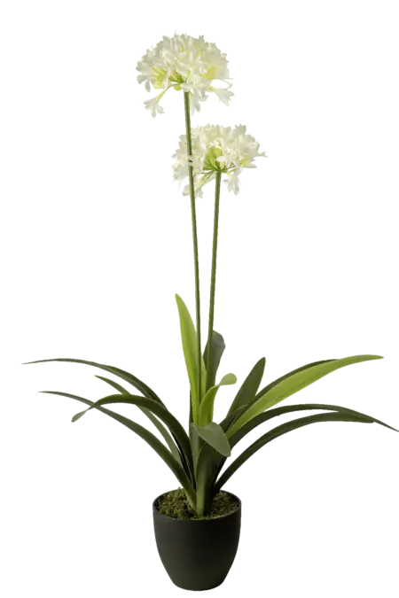 Artificial Agapanthus — African Lily | Vyne Boutique