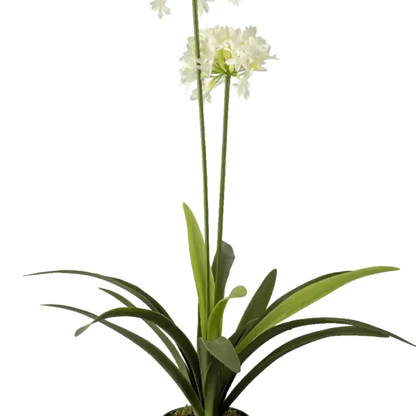 Artificial Agapanthus — African Lily | Vyne Boutique