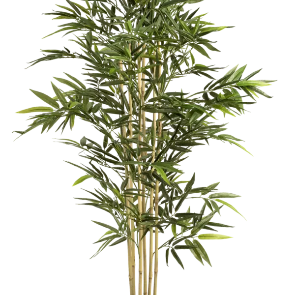 Artificial Bamboo Plant — Natural Green 160cm | Vyne Boutique