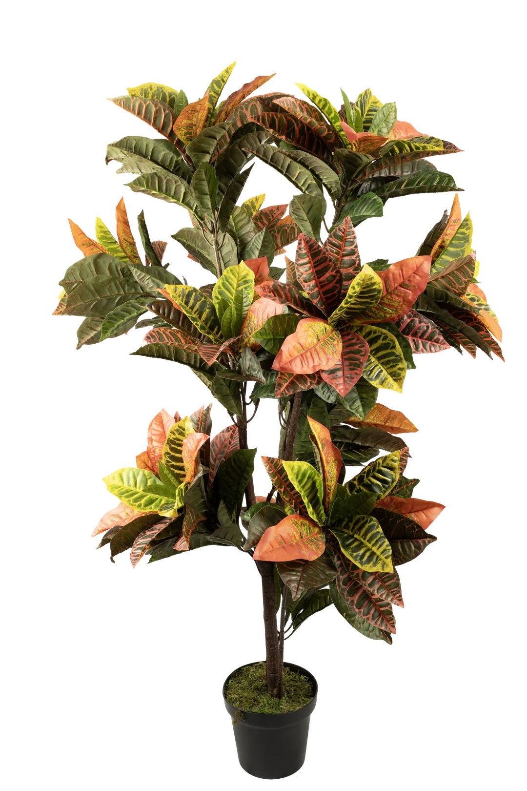 Croton (Tropical Ember Blend) 165cm | Vyne Artificial Croton Plant — Tropical Ember Blend 165cm | Vyne