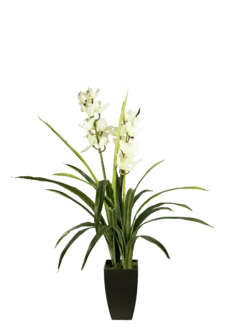Artificial Cymbidium Orchid — Ivory Whisper | Vyne Boutique