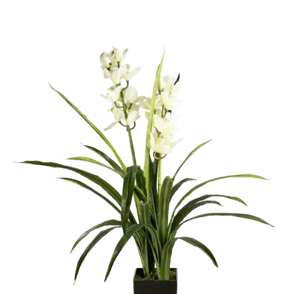 Artificial Cymbidium Orchid — Ivory Whisper | Vyne Boutique