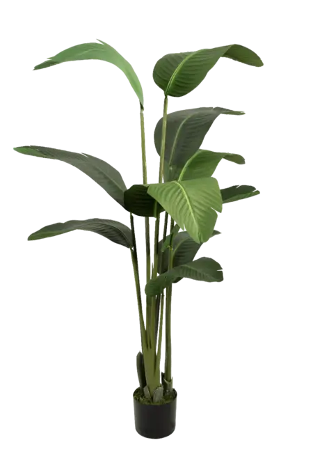 Artificial Banana Plant — 160cm | Vyne Boutique