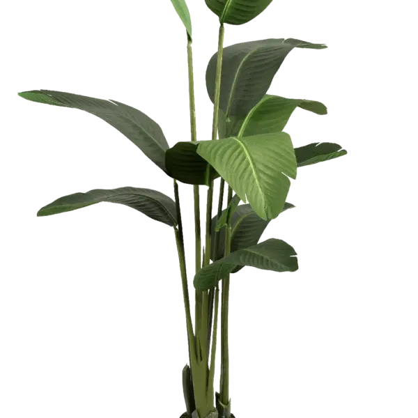Artificial Banana Plant — 160cm | Vyne Boutique