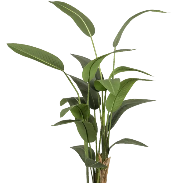 Artificial Bird of Paradise — Strelitzia Nicolai 190cm | Vyne