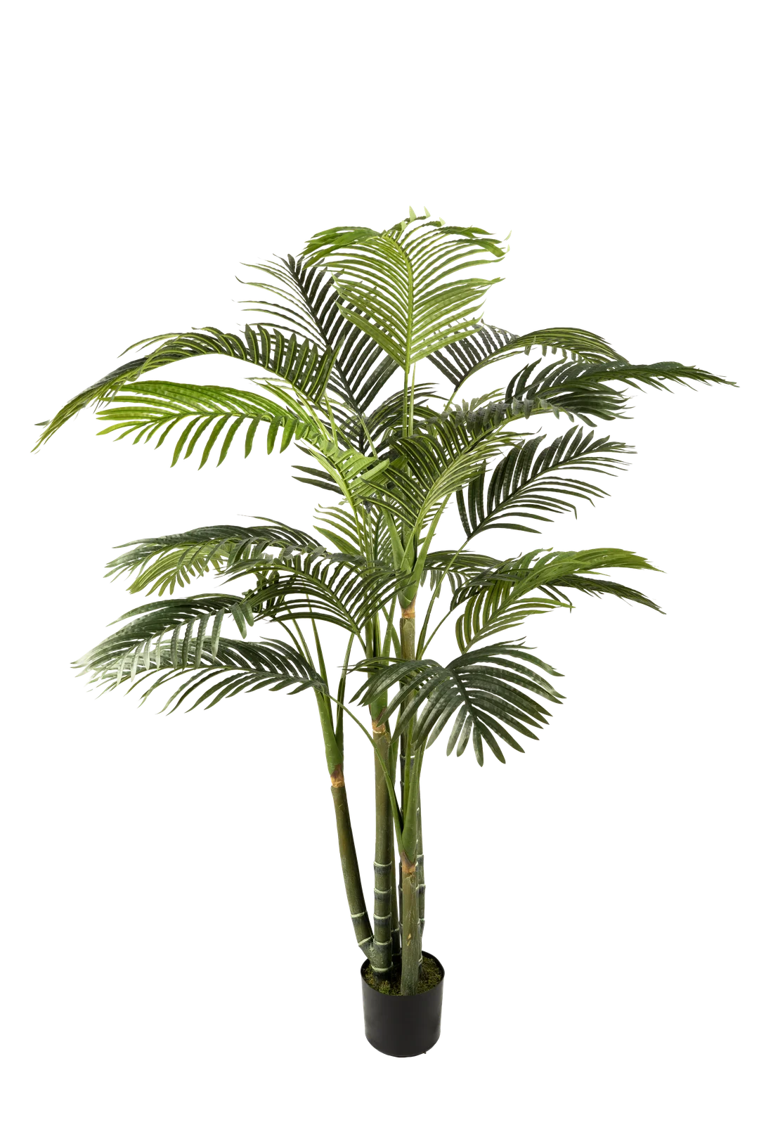 Areca palm (195cm) | Vyne Artificial Areca Palm — 195cm | Vyne Boutique