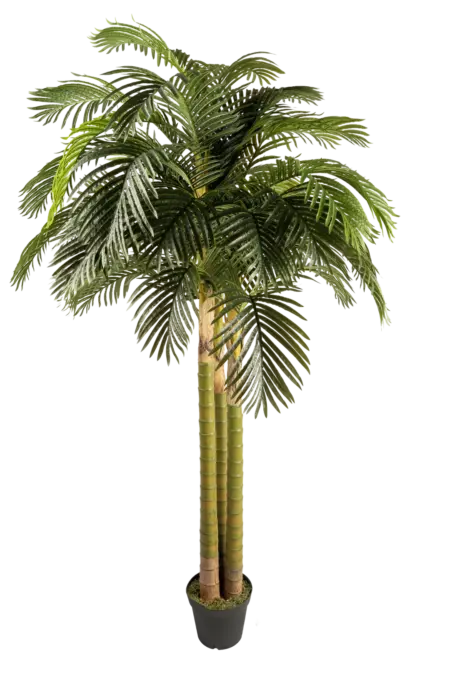 Artificial Areca Palm Tree — 250cm | Vyne Boutique