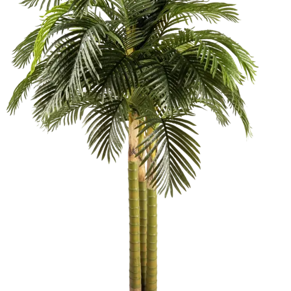 Artificial Areca Palm Tree — 250cm | Vyne Boutique