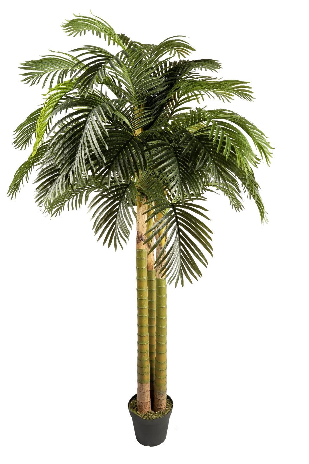 Areca Palm (250cm) | Vyne Artificial Areca Palm Tree — 250cm | Vyne Boutique