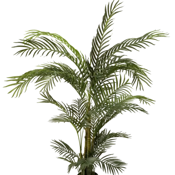 Artificial Areca Palm — 190cm | Vyne Boutique