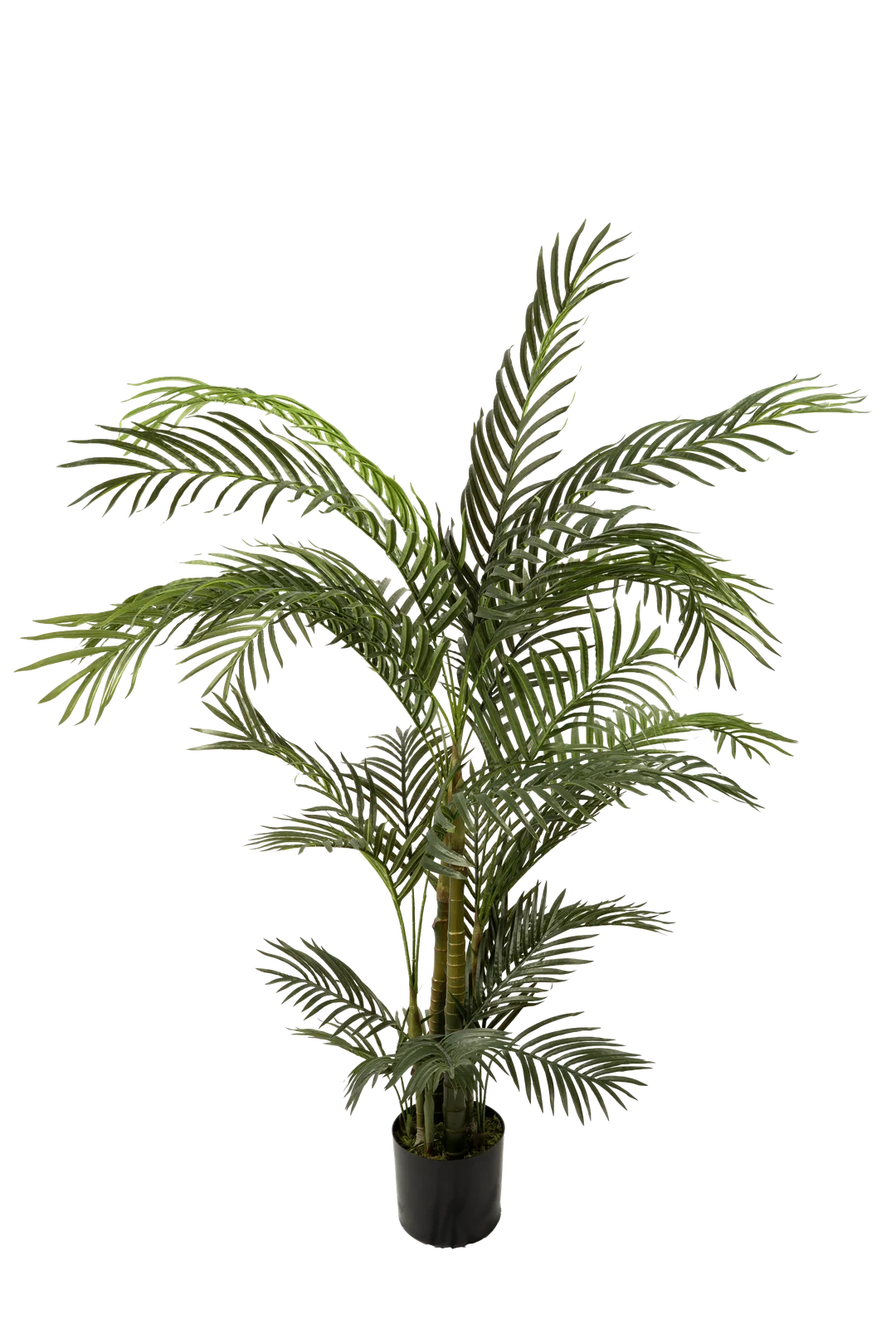 Areca palm (190cm) | Vyne Artificial Areca Palm — 190cm | Vyne Boutique