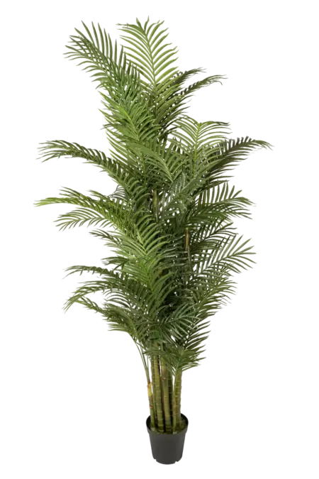 Artificial Areca Palm Tree — 250cm | Vyne Boutique