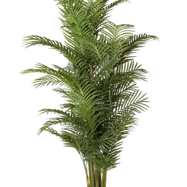 Artificial Areca Palm Tree — 250cm | Vyne Boutique