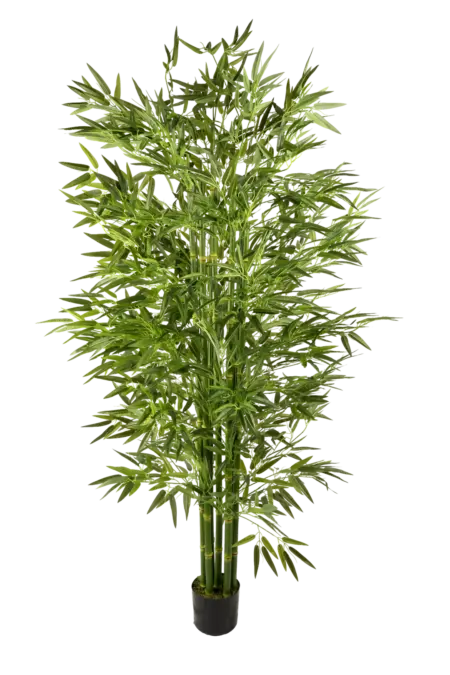 Artificial Bamboo Tree — Celadon Green 215cm | Vyne Boutique